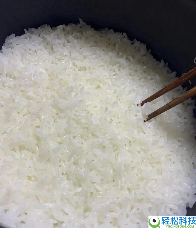 “涂层焦虑”？烧饭十年,终究弄清500和1000+元电饭煲的区分了,