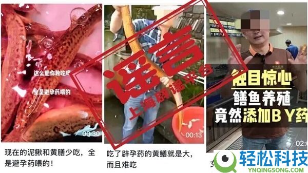 黄鳝在养殖进程中被喂了避孕药？这谎言传30年了