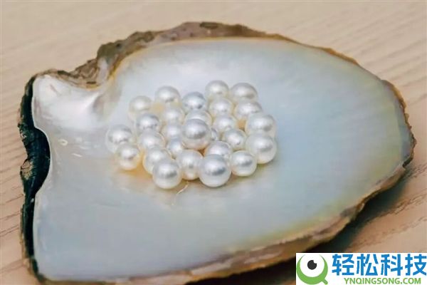 核电站搞出新副业 居然是产珍珠,
