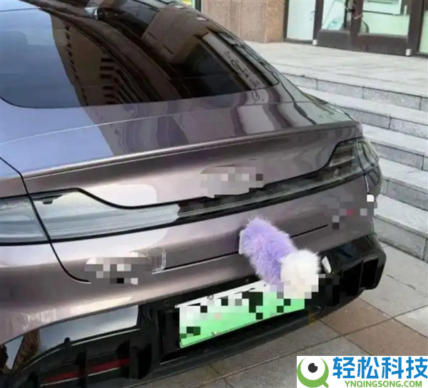 千万别学,汽车尾盛行挂“毛绒尾巴” 律师提示：加装已涉嫌守法 有保险风险