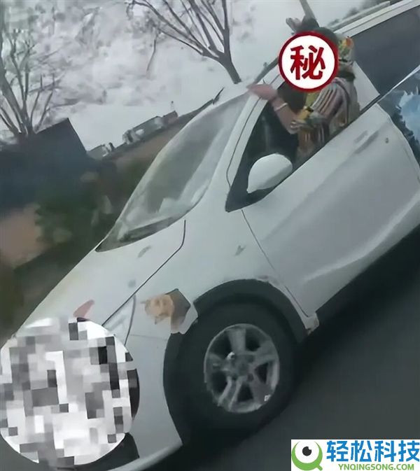 男子开车半个身子探出窗外吓坏旁车,交警回应称该男子存精力异常