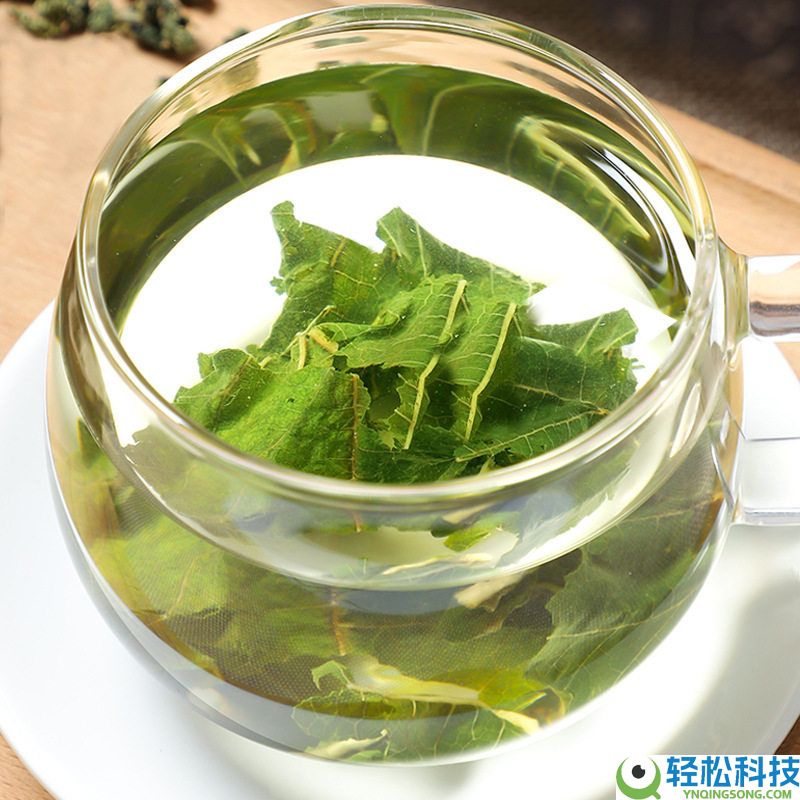 半价大促：轻山悦色霜后桑叶茶250克/罐到手9.9元