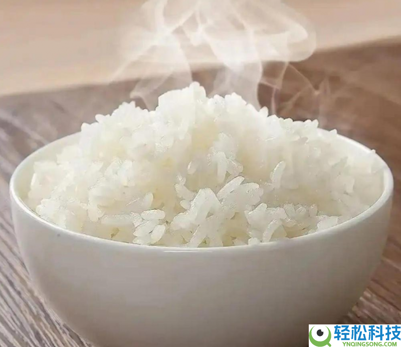 618囤货,高端电饭煲推荐｜0涂层电饭煲怎样选,才干安康与口感兼得