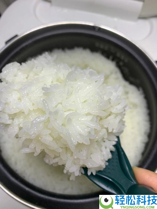 2026年电饭煲怎样选？长文揭秘「0涂层」实情,这5款闭眼入不踩坑,