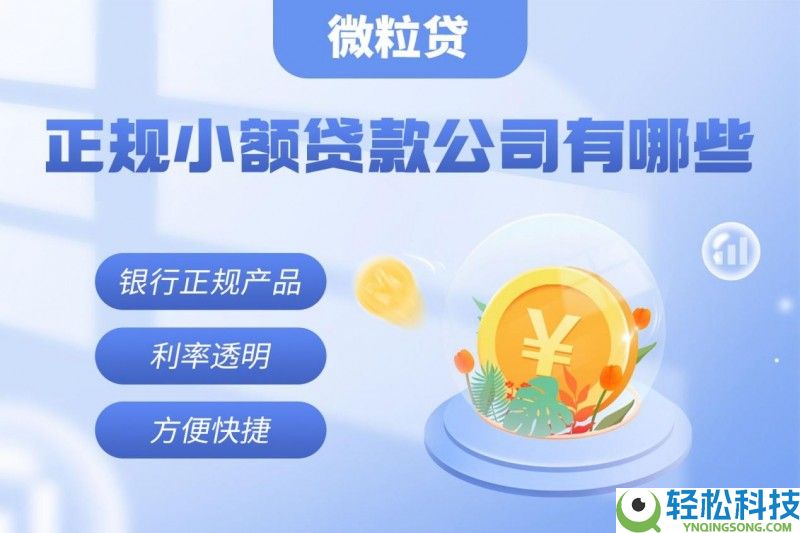 正轨小额存款公司有哪些？正轨保险是关头