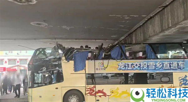 突发,哈尔滨双层巴士被高架桥削顶 官方传递：司机忽视而至