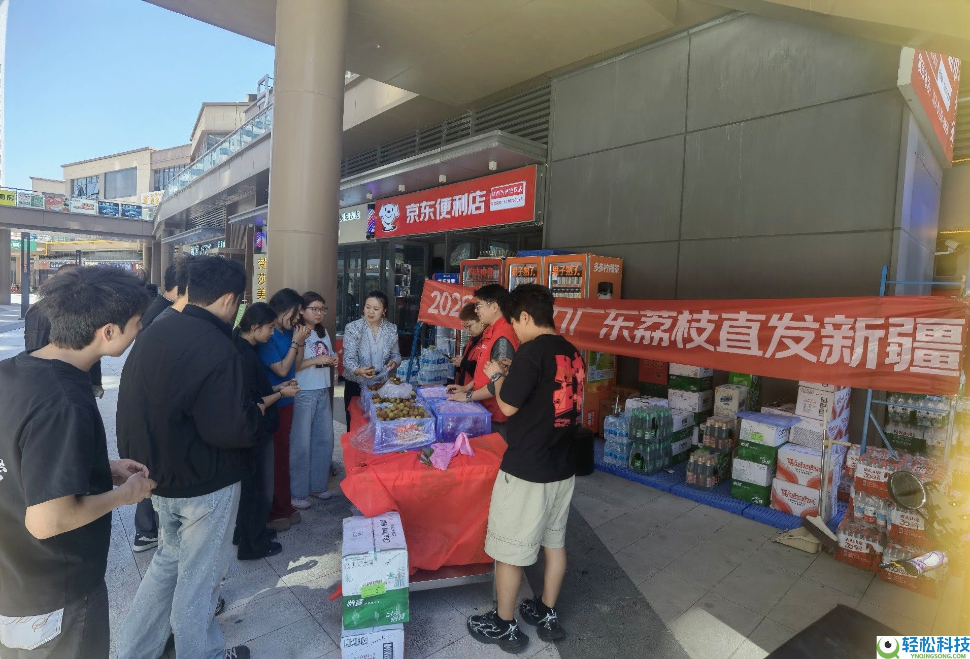 24小时到西藏,36小时抵欧洲 京东“一地发全球”让广东荔枝鲜达全球