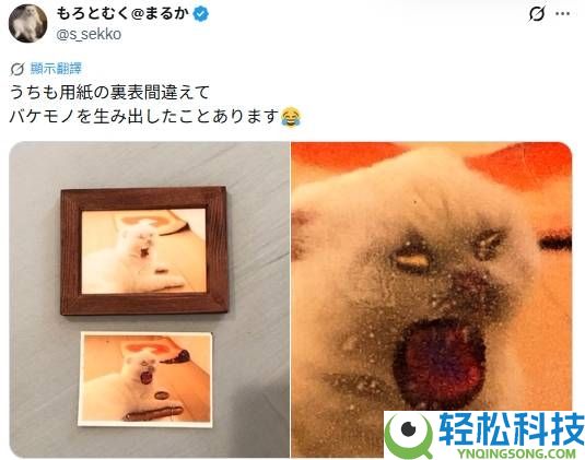 日本娃妈屡屡打印出恐惧照片 网友：你相纸塞反了,